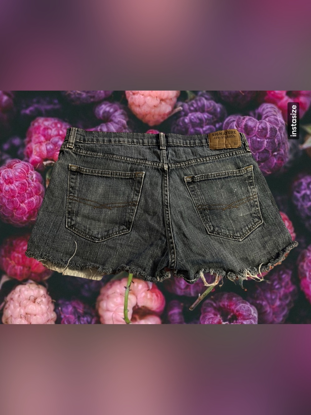 Signature by Levi’s Dark Frayed Hem Denim Shorts